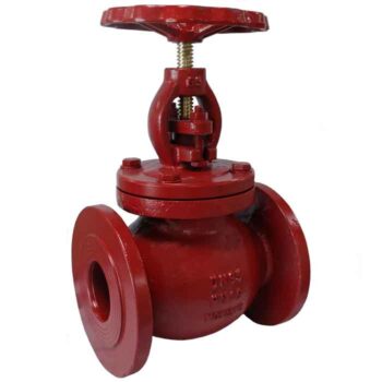 Globe Valve